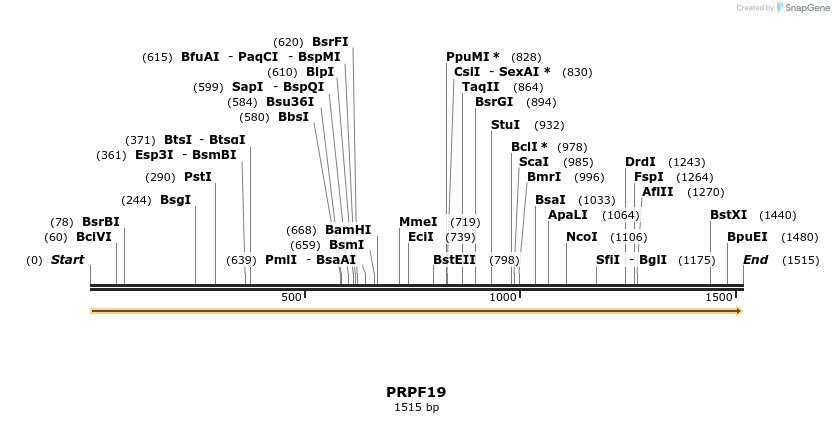 301250_map