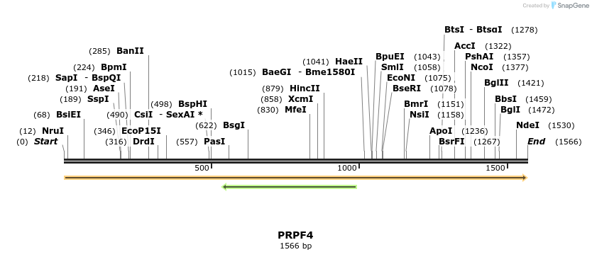 301253_map