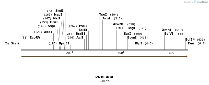 301254_map