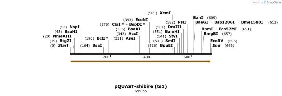30126_map