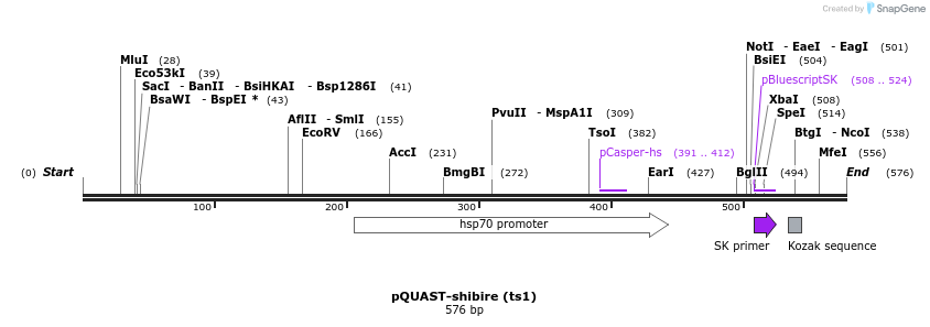 30127_map