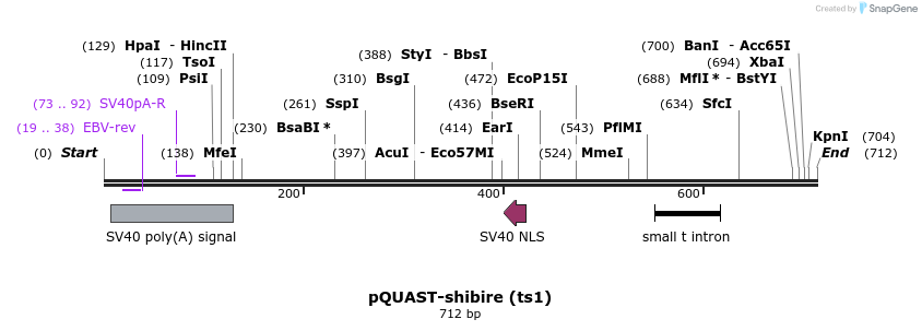 30128_map