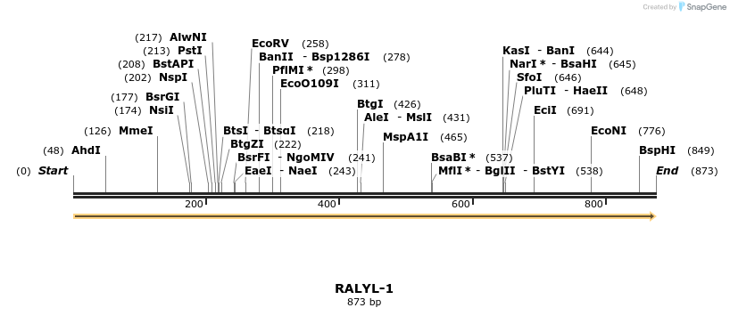 301280_map