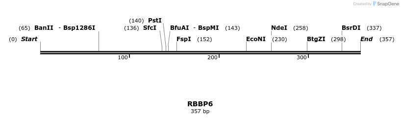 301282_map