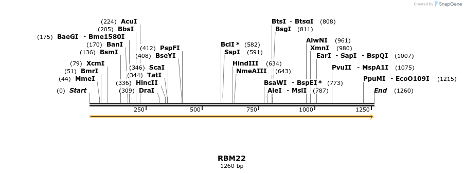301292_map