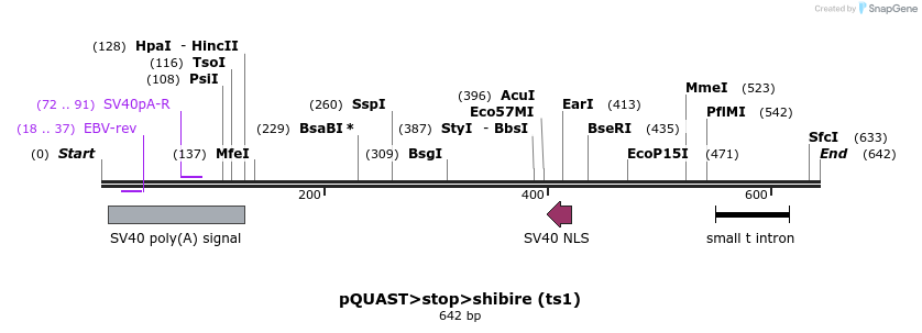 30130_map