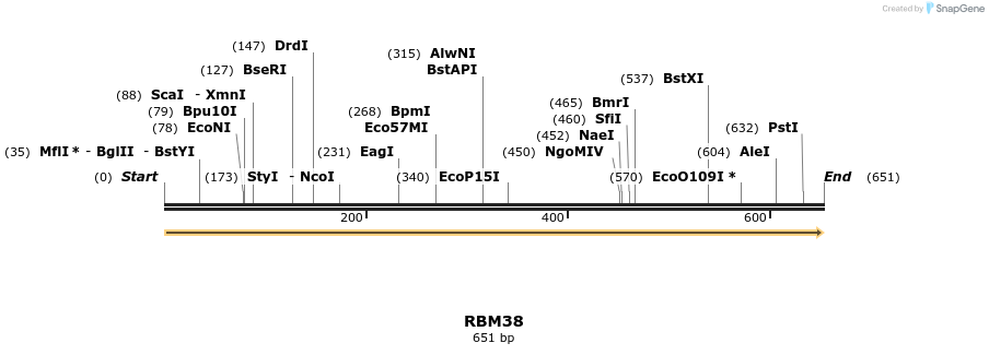 301302_map