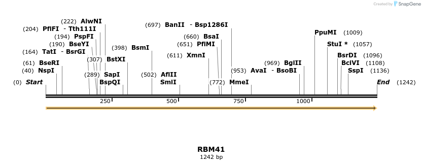 301305_map