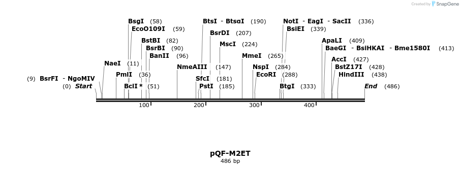 30131_map