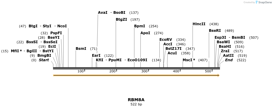 301313_map