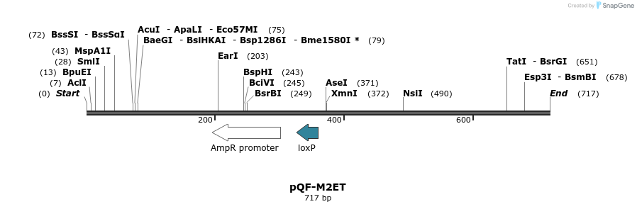 30132_map
