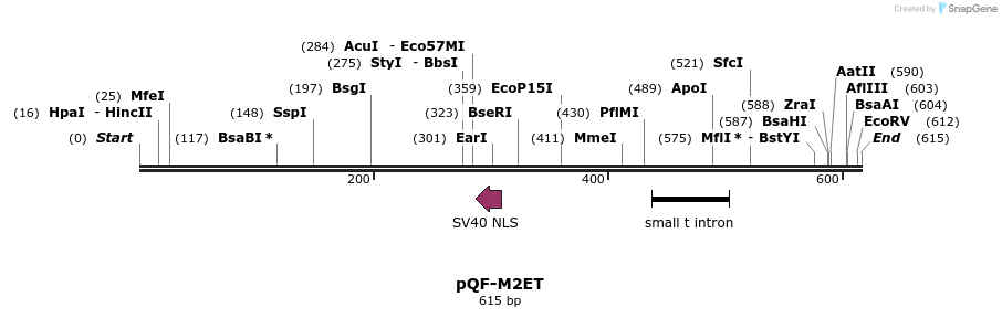30133_map