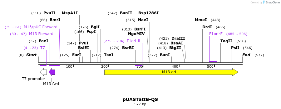 30137_map