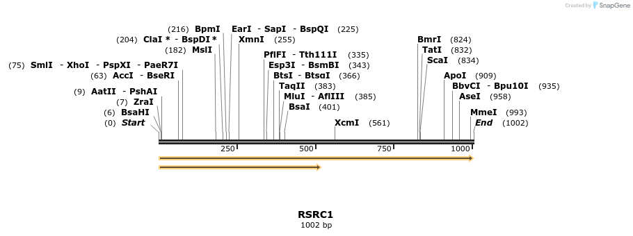 301386_map