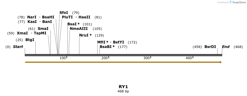 301389_map