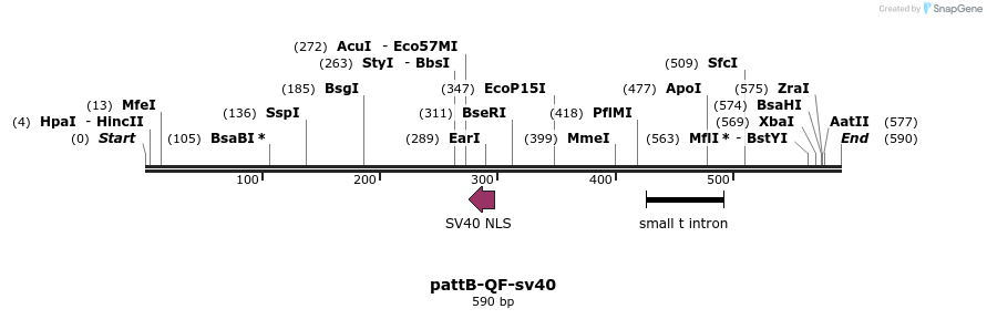 30139_map