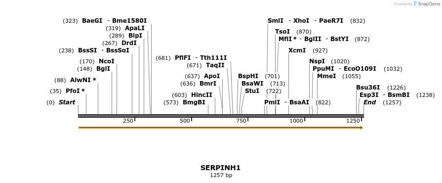 301402_map