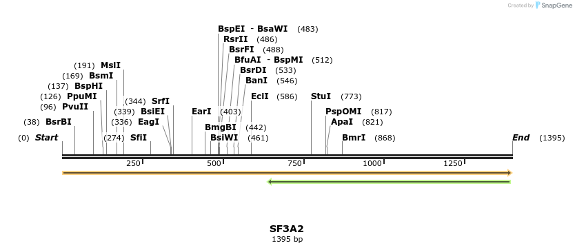 301404_map