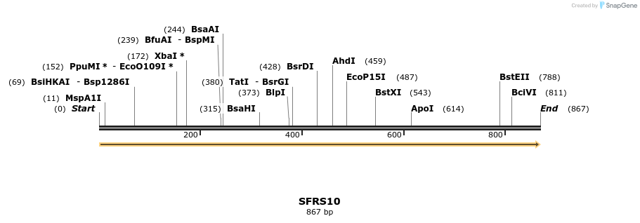 301410_map