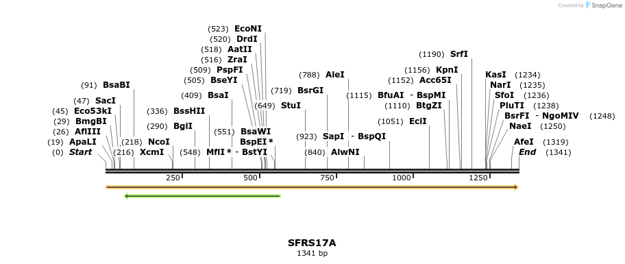 301413_map