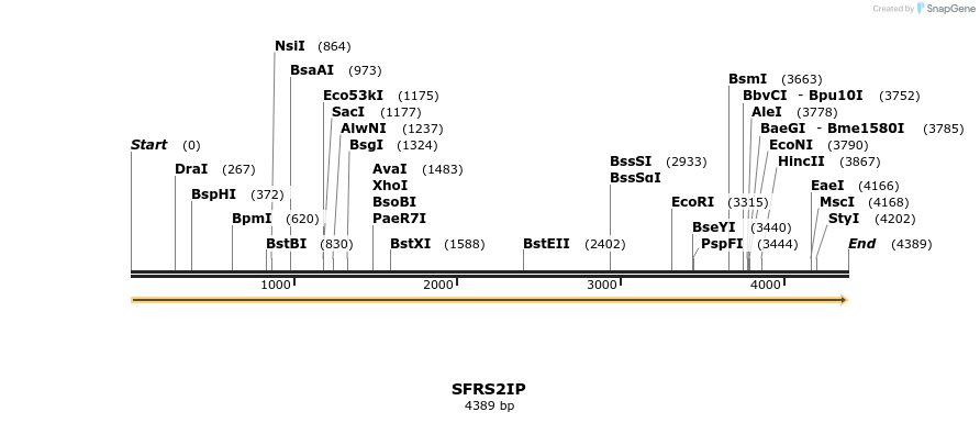 301415_map