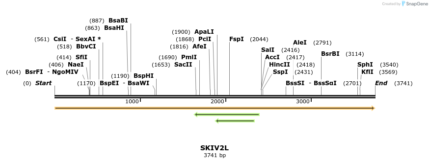301417_map