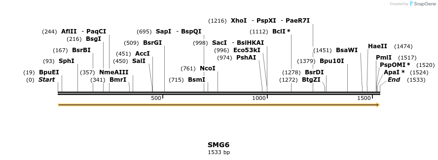 301423_map