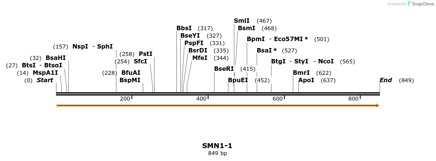 301425_map