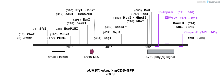 30144_map