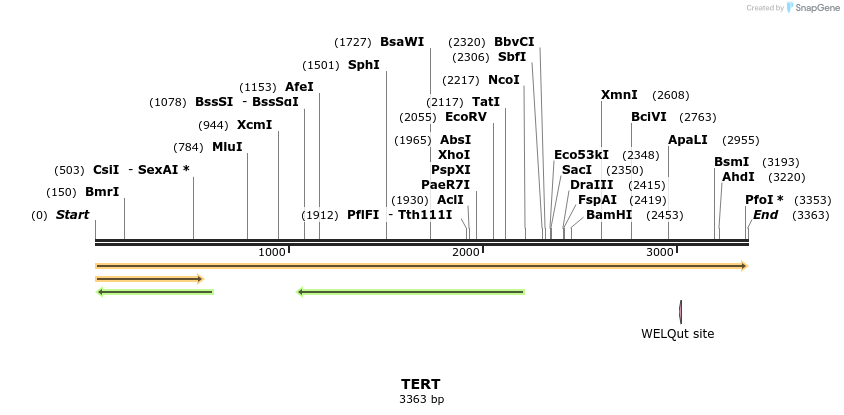 301481_map