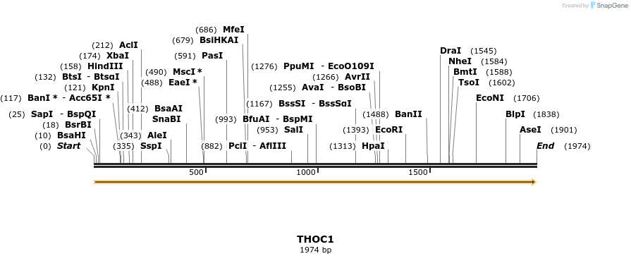 301484_map