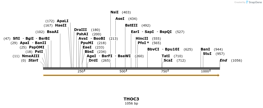 301485_map