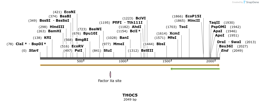 301487_map