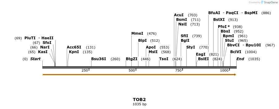 301493_map