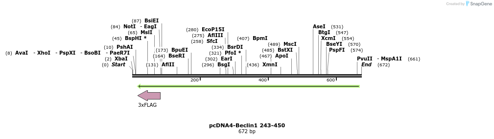 30154_map