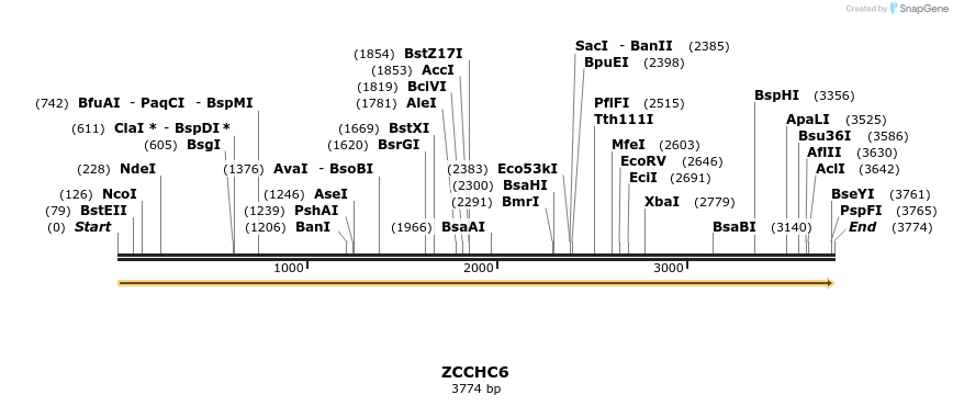 301543_map
