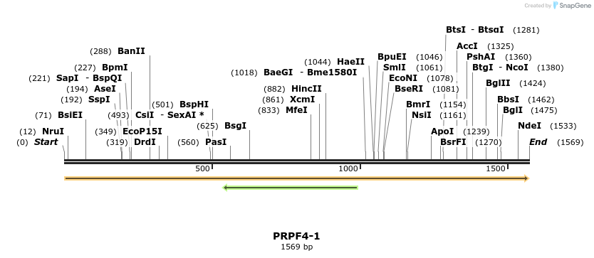 301561_map