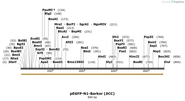 30168_map