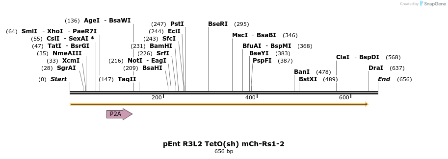 30176_map