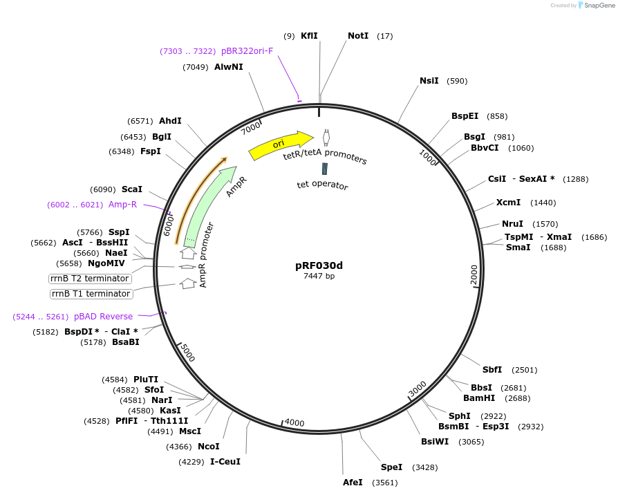 301860_map