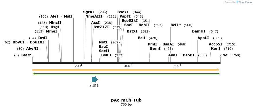 30196_map