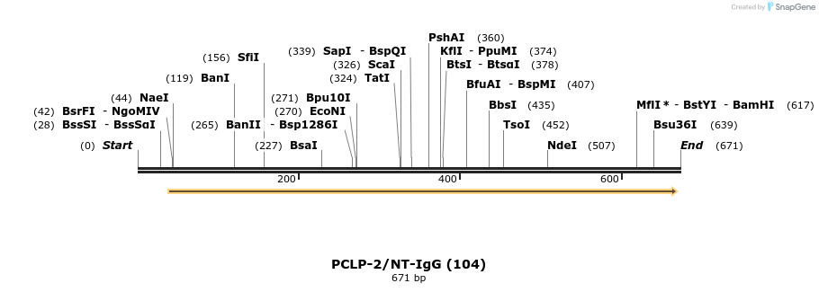 30202_map