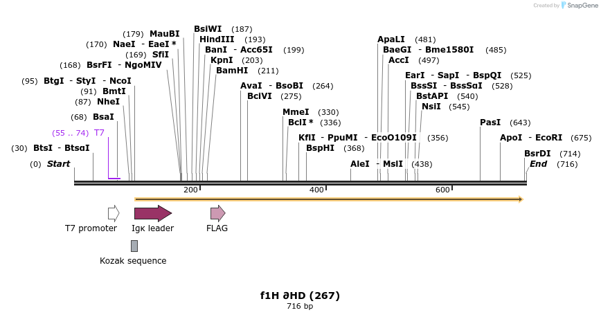 30205_map