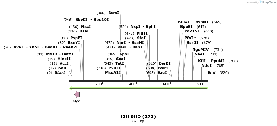 30211_map