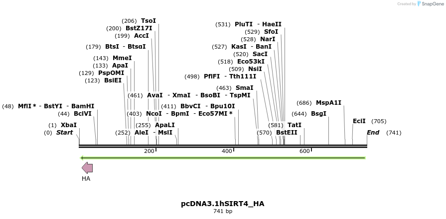 30216_map