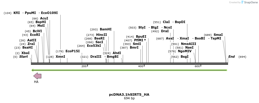 30217_map
