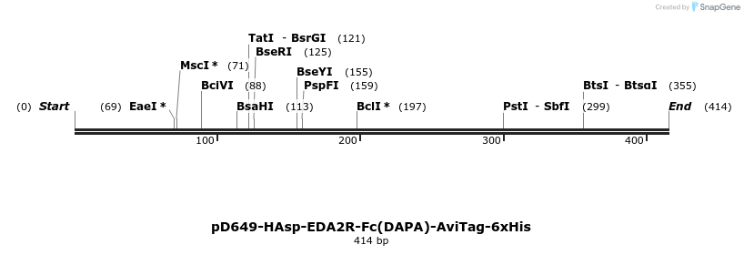 302172_map