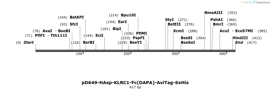 302174_map