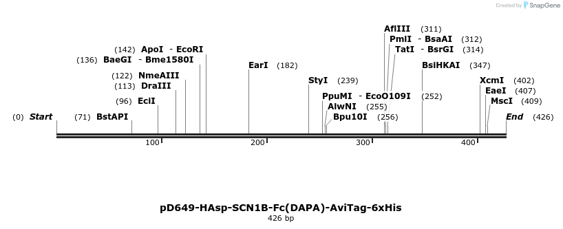 302178_map