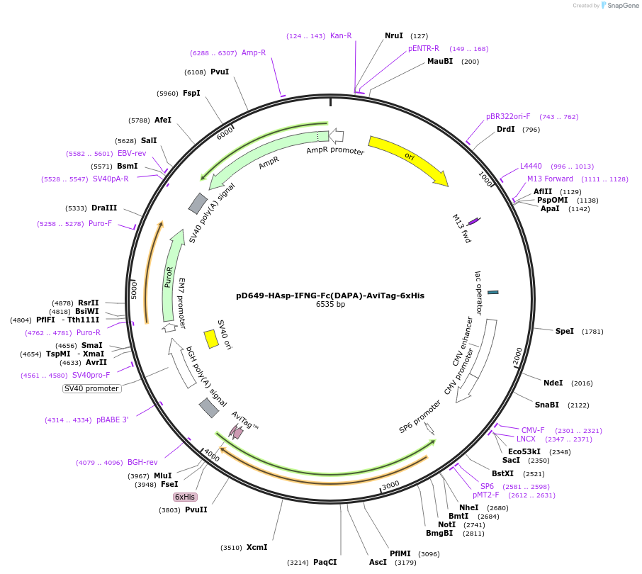 302179_map